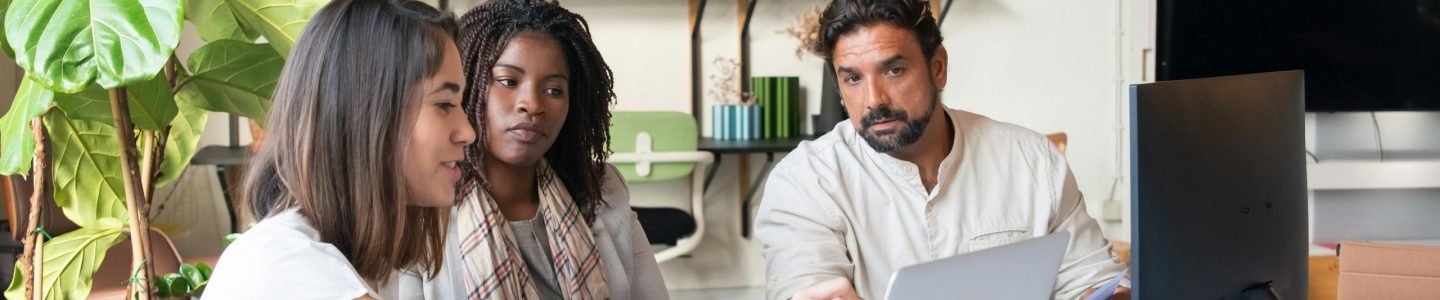 team working on elevate project